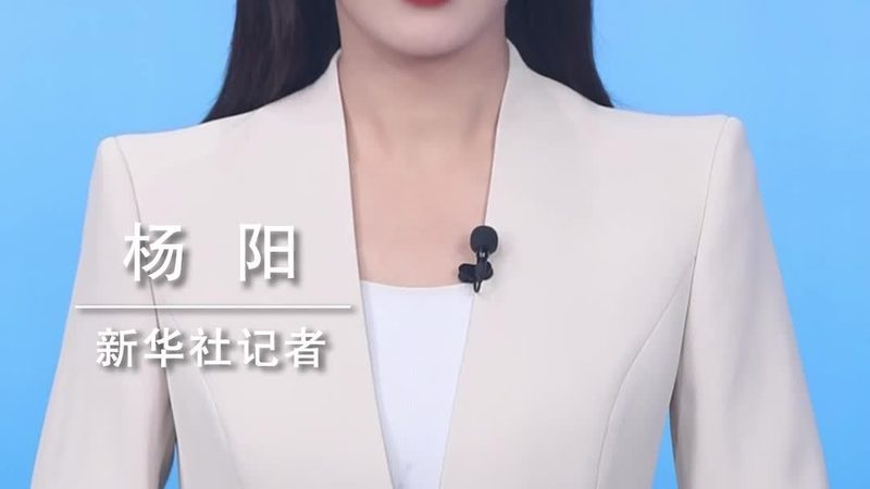 企业搜索数据库索引，价格几何？揭秘其成本构成与价值**